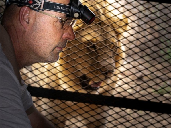 Old Chapel Veterinarian Rehabilitation Cages for Cats - Floor Heating by Speedheat